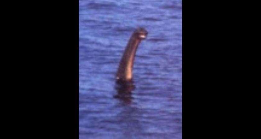 Doc Shiels' 'Loch Ness Monster' image