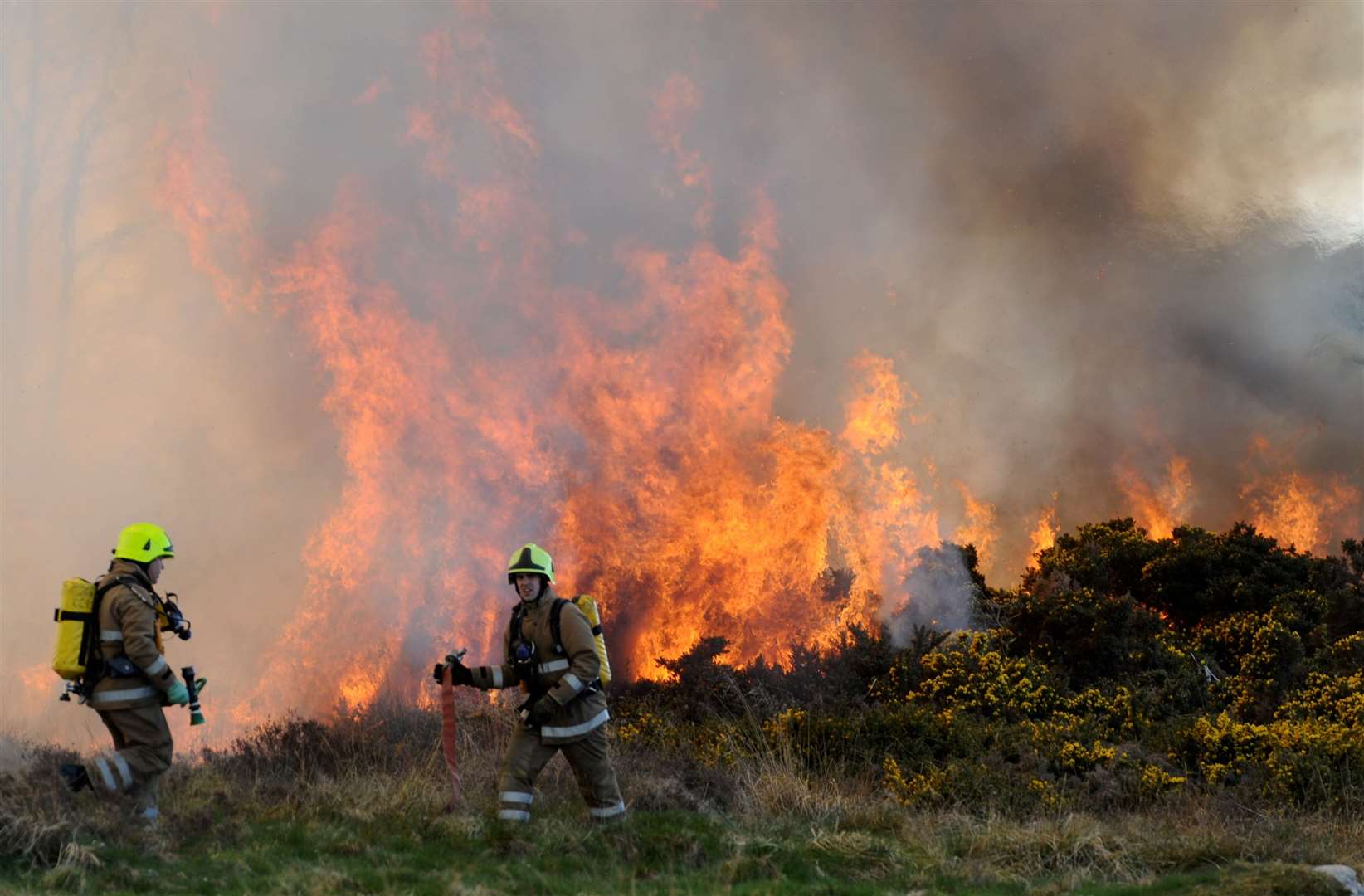 Firefighters tackle a wildfire between Daviot Wood and Milton Of Leys Picture: Gary Anthony.