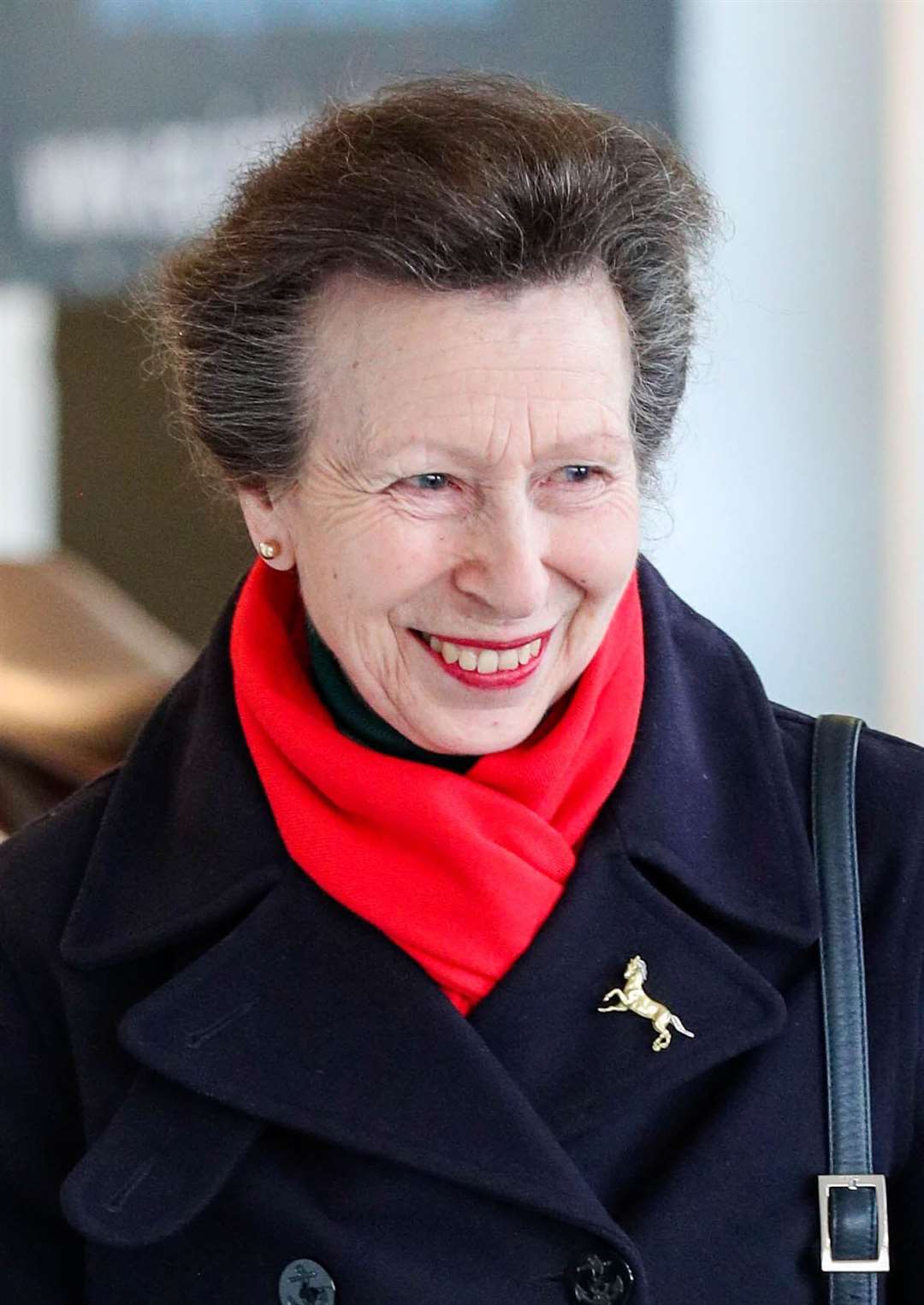 The Princess Royal is patron of the Scots in London Association (Steve Parsons/PA)
