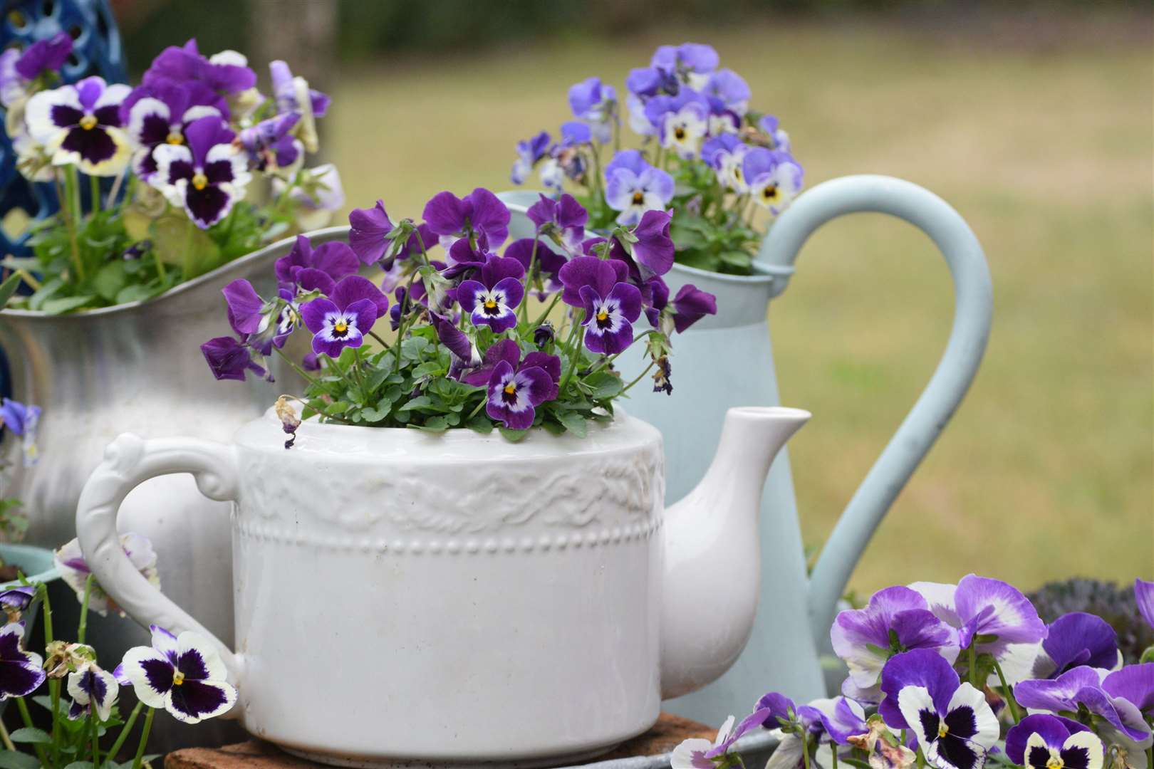 Old teapots and jugs make lovely plant containers. Picture: iStock/PA