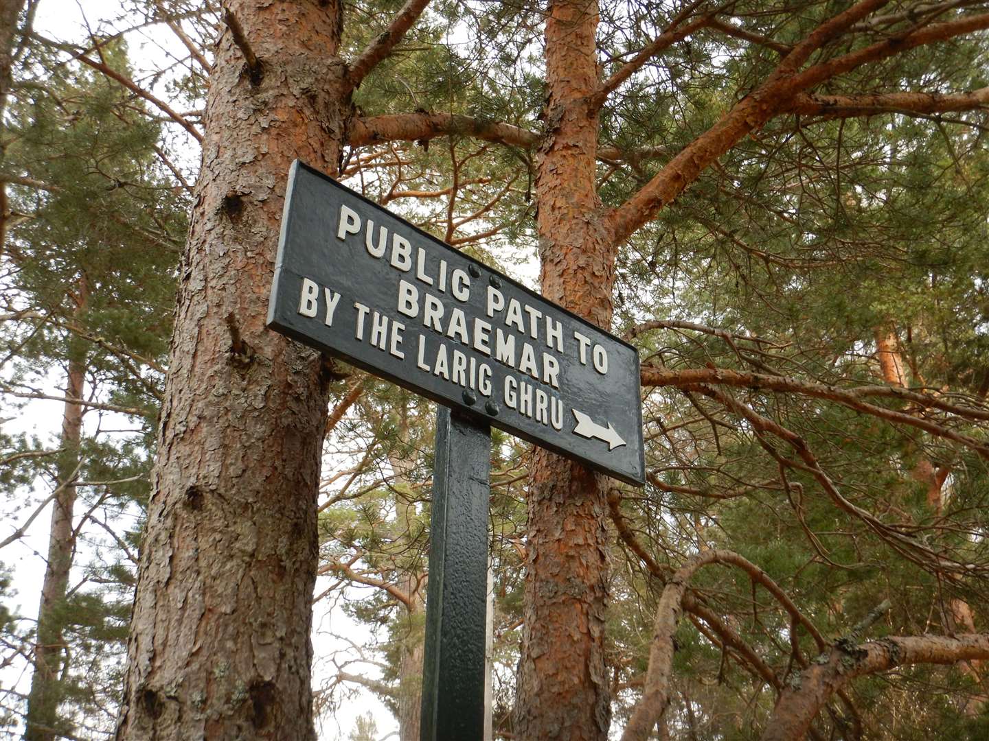 The oldest right of way sign still in existence today - at Coylumbridge near Aviemore. Picture: John Davidson