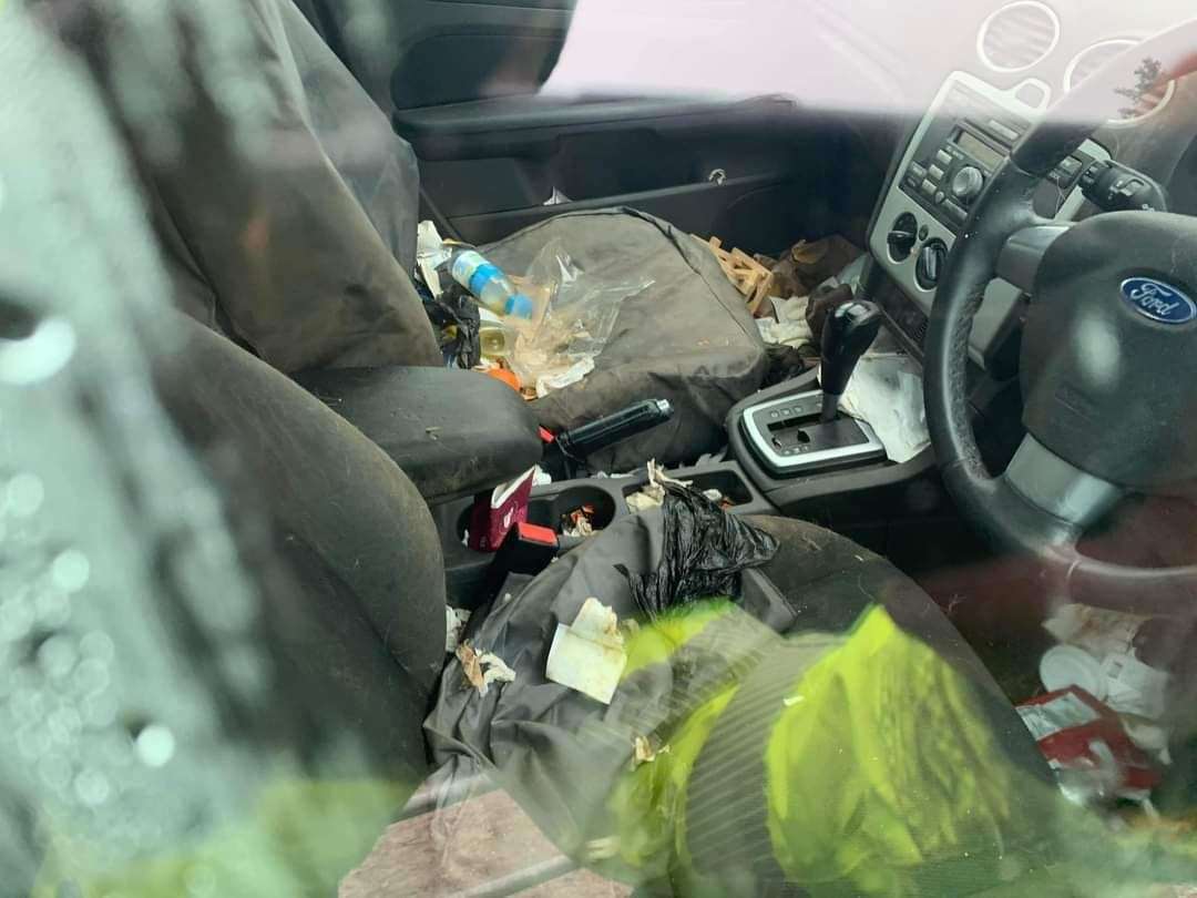 Inside the car where it is claimed the puppies were.