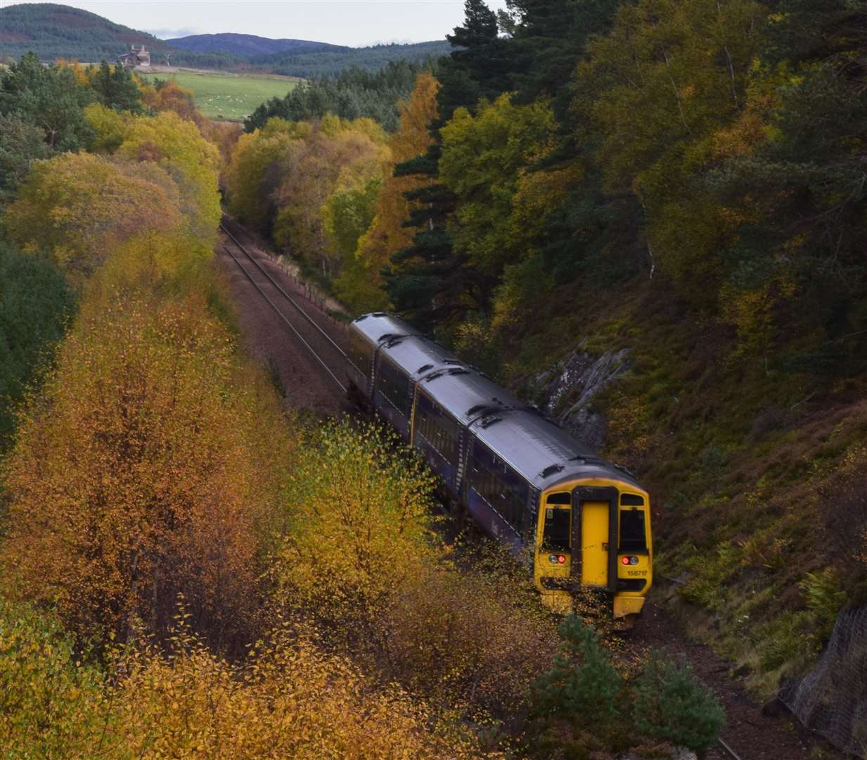 A ScotRail train travelling on the Highland mainline, to the north of Carrbridge. Picture: Philip Murray.