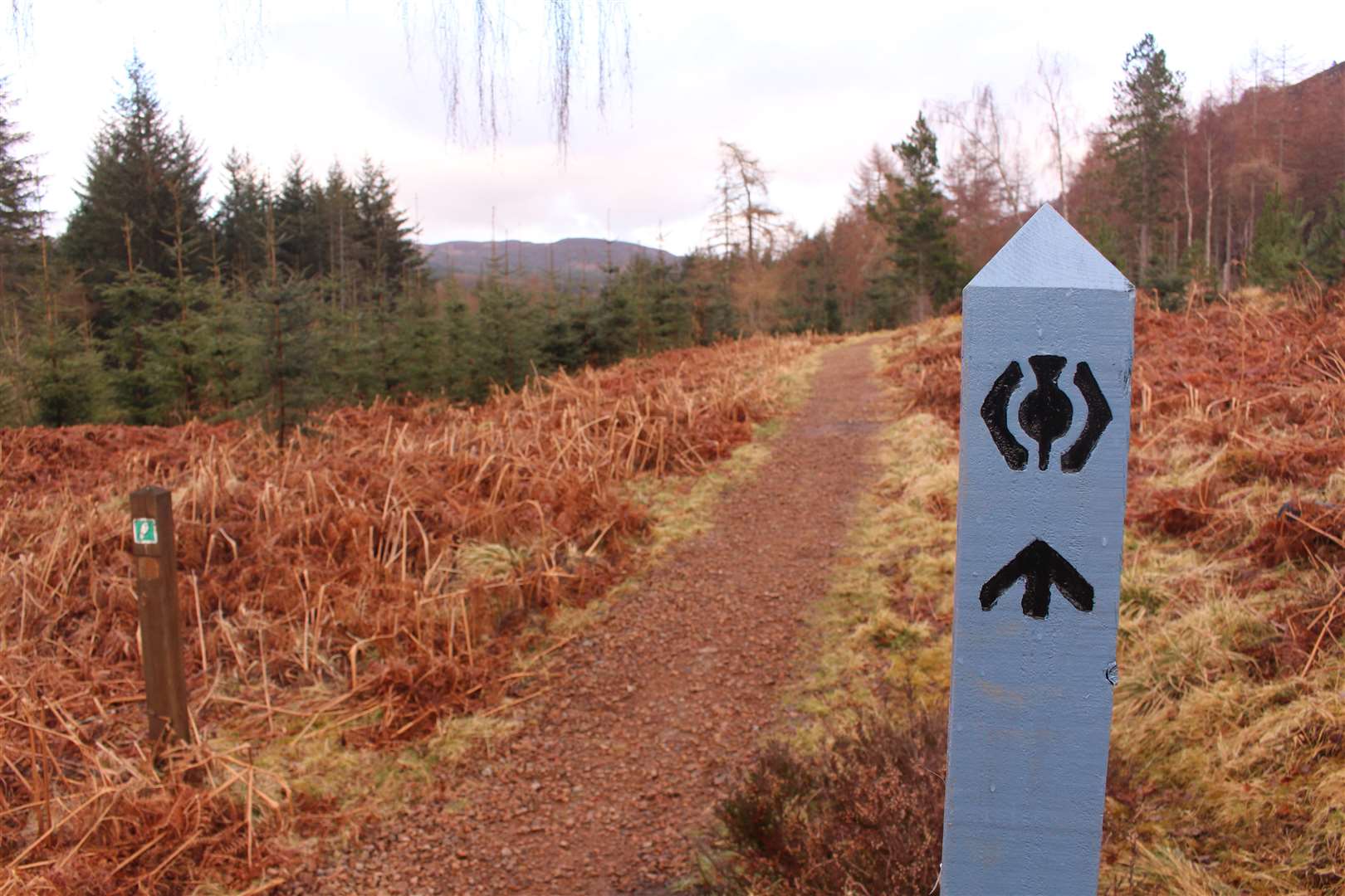 One of the new Great Glen Way marker posts.