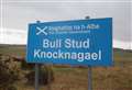 Ambitious Knocknagael asset transfer in the balance after review