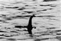 Loch Ness business leaders react to claims Nessie is "a very British" symbol of dominance