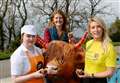 Udderly good cakes for charity 