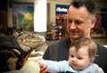 PICTURES: Snakes top popularity poll