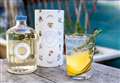 Recipe of the week: Theodore Gin Perfect Serve T&T