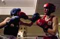 Boxing academy put on a knockout show