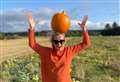 Autumn's in the air as Cawdor Pumpkin Patch prepares to welcome public for the first time tomorrow