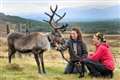 College takes the lead in reindeer project