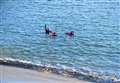 Wild swimming safety plea issued