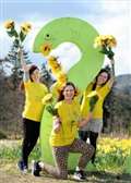 'Wear yellow' day in aid of hospice appeal 
