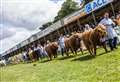 LARGEST two day agricultural show cancelled again.