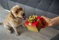 Tips on keeping your pets safe over the festive period