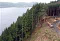 ‘Peak danger’ warning as A82 tree felling moves to near vertical slopes