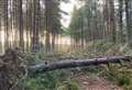 Stay clear of storm-damaged forests in Highlands, people warned