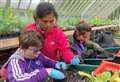 Horticultural therapy brings people closer to nature