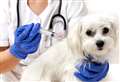 Vaccinations can be a matter of life and death for dogs