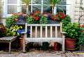 Turn your garden into a social space – whatever its size