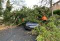 PICTURES: Fallen tree closes Inverness road