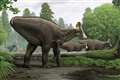 Researchers discover bone of 68-million-year-old dinosaur with broken wrist