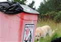 Councillor speaks out against apparent rise in dog fouling