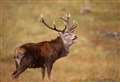Deer stalking warning for walkers taking to the hills