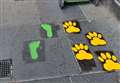 REVEALED: Mystery footprints aimed at attracting dog owners to Inverness city centre