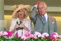 King and Queen’s hopes of winning their first Royal Ascot race dashed