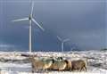Wind farm branches out to help tackle climate change in islands