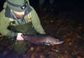 Cutting edge technology helps track monster-size trout in Loch Ness