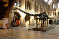 Museum and gallery trips have no impact on GCSE grades – study