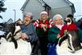 Widget and Pringle the penguins join care home residents for Christmas carolling