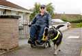 Guide dog learns new tricks to carry on helping his master