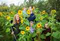Family farm near Loch Ness hosts annual sunflower and pumpkin picking