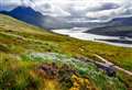 Awards to celebrate importance of special environment in Highlands and Islands with best natural capital project category