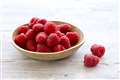 Warm spring means bigger and sweeter raspberries at start of season