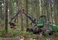 New initiative 'will be a catalyst for forestry jobs'