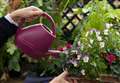 Saving water can help your hanging baskets thrive