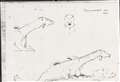 Sketch of creature seen on Loch Ness in 1936 held by National Museum of Scotland