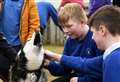 Pet-therapy at school as Nairn Academy welcomes dog rescue charity