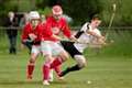 Lovat have Camanachd Cup hopes ended