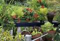How garden trends are changing post-lockdown