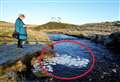 WATCH: Strange ice pancake phenomenon observed on Highland burn