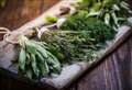 Keep those flavours coming long after herbs fade away