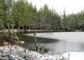 Forest trails lead to a perfectly peaceful lochan 