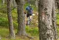 Forest car parks, toilets and bike trails closed