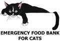 Coronavirus: Inverness Cat Rescue sets up emergency food bank for cats